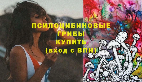 дживик Заволжск