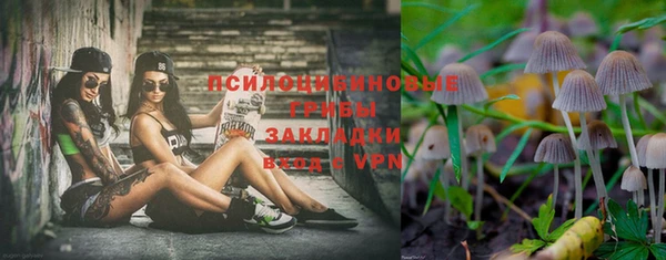 бошки Заволжье