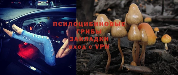 бошки Заволжье