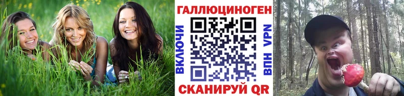 Купить закладки  Кохма  Псилоцибиновые грибы ЛСД 